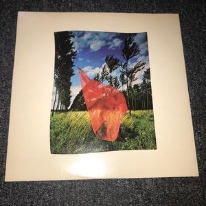 1975 Pink Floyd Vinyl Record